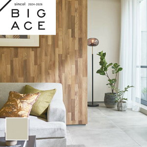 BA7274 ǎ VR[ rbNG[X NX ̂Ȃ