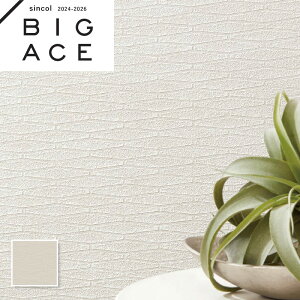 BA7250 zCg^C }eAǎ VR[ rbNG[X NX ̂Ȃ