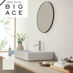 BA7255 ^C }eAǎ VR[ rbNG[X NX ̂Ȃ