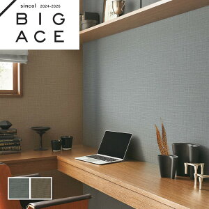 Lǎ VR[ rbNG[X NX ̂Ȃ