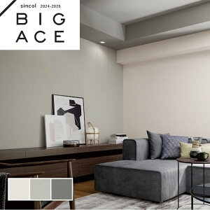 Lǎ VR[ rbNG[X NX ̂Ȃ