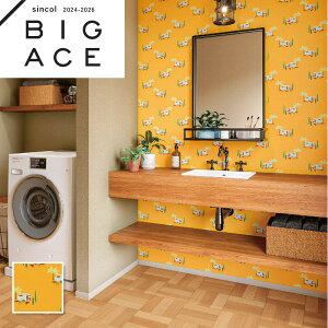 BA7440 q oX F JWAǎ VR[ rbNG[X NX ̂Ȃ