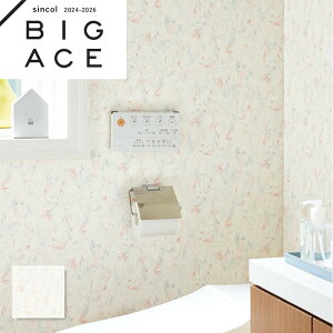 BA7380 ԕǎ t[ VR[ rbNG[X NX ̂Ȃ