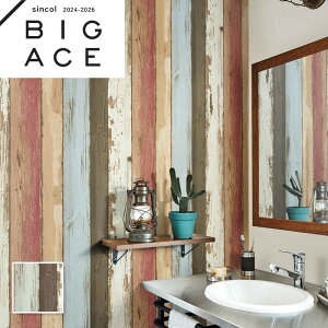 BA7304 J[yCg Be[W ؖڒǎ Ebh VR[ rbNG[X NX ̂Ȃ