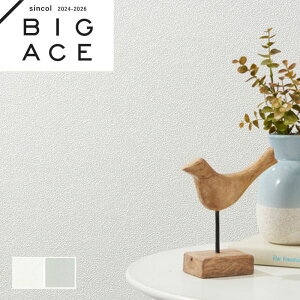 Lǎ VR[ rbNG[X NX ̂Ȃ