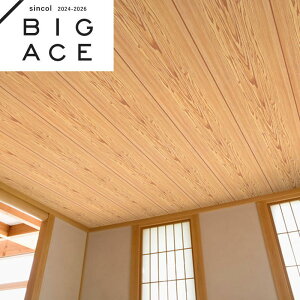 BA7224 a a ؖ Ebh Vɂߕǎ VR[ rbNG[X NX ̂Ȃ