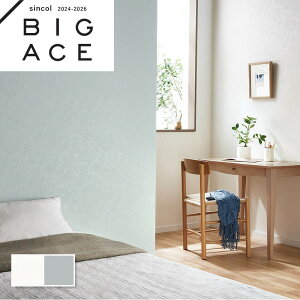 RAǎ VR[ rbNG[X NX ̂Ȃ