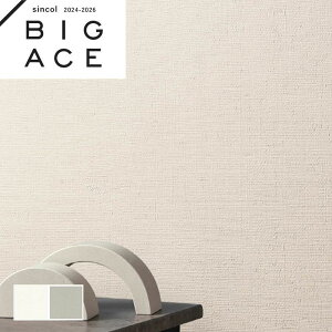 Ђъ΍ǎ VR[ rbNG[X NX ̂Ȃ