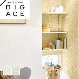 Ђъ΍ǎ VR[ rbNG[X NX ̂Ȃ