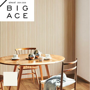 BA7041 RECXǎ VR[ rbNG[X NX ̂Ȃ