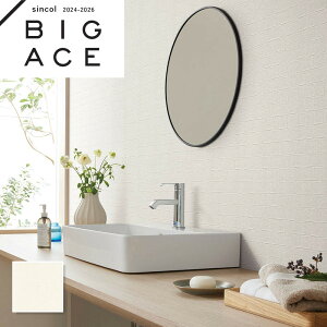 BA7042 RECXǎ VR[ rbNG[X NX ̂Ȃ