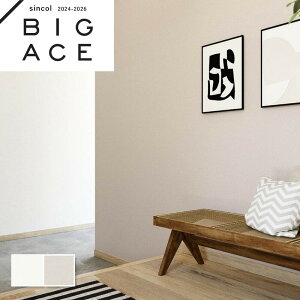 Lǎ VR[ rbNG[X NX ̂Ȃ