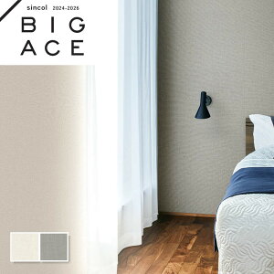 ǎ VR[ rbNG[X NX ̂Ȃ