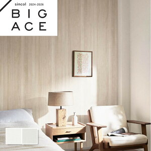 ǎ VR[ rbNG[X NX ̂Ȃ