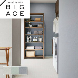 ܂ɂߕǎ VR[ rbNG[X NX ̂Ȃ