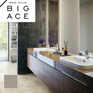 BA7234 }eAǎ VR[ rbNG[X NX ̂Ȃ