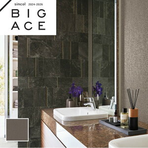 BA7235 }eAǎ VR[ rbNG[X NX ̂Ȃ