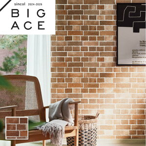 BA7259 K uE  }eAǎ VR[ rbNG[X NX ̂Ȃ