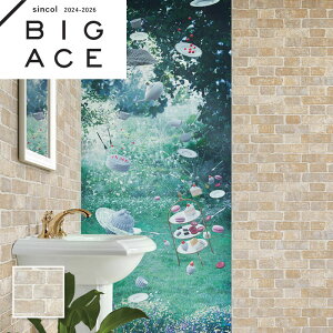 BA7261 ^C K }eAǎ VR[ rbNG[X NX ̂Ȃ