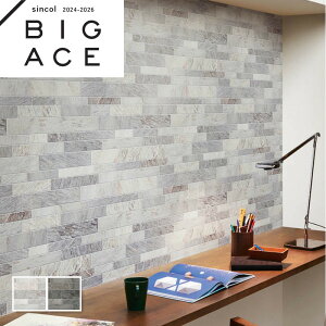 K O[ }eAǎ VR[ rbNG[X NX ̂Ȃ