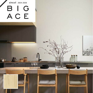 BA7275 ؖڒǎ i`Ebh VR[ rbNG[X NX ̂Ȃ