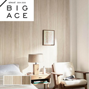 ؖڒǎ Ebh VR[ rbNG[X NX ̂Ȃ