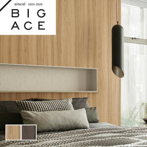 i` AeB[N ؖڒǎ Ebh VR[ rbNG[X NX ̂Ȃ