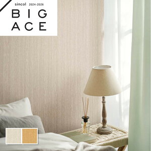 ؖڒǎ Ebh VR[ rbNG[X NX ̂Ȃ