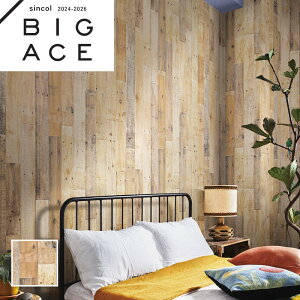 BA7303 ؖڒǎ Ebh VR[ rbNG[X NX ̂Ȃ