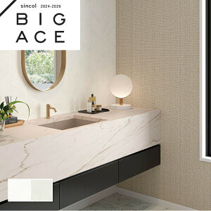 w{ zCg ǎ VR[ rbNG[X NX ̂Ȃ