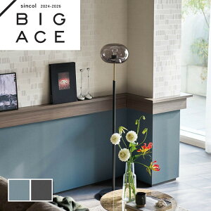 u[ ubN ǎ VR[ rbNG[X NX ̂Ȃ