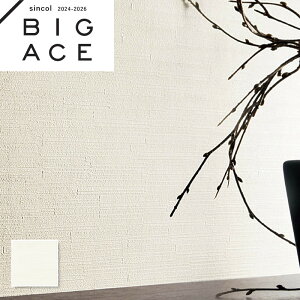 BA7336 ^C 􉽁Eەǎ VR[ rbNG[X NX ̂Ȃ