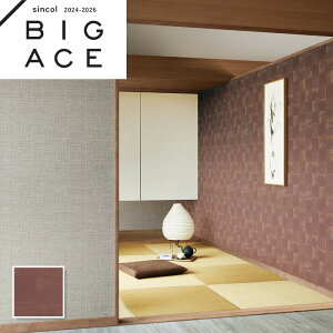 BA7341 S[hp[ afUC aǎ a VR[ rbNG[X NX ̂Ȃ