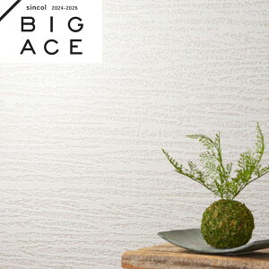 BA7342 zCgǎ VR[ rbNG[X NX ̂Ȃ