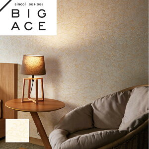 BA7353 aǎ a VR[ rbNG[X NX ̂Ȃ