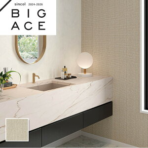 BA7357 z aǎ a VR[ rbNG[X NX ̂Ȃ