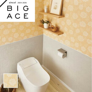 ySALEzBA7384 F IW ԕǎ t[ VR[ rbNG[X NX ̂Ȃ