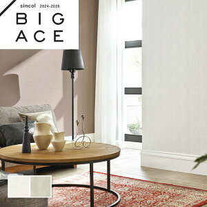 GKgǎ VR[ rbNG[X NX ̂Ȃ