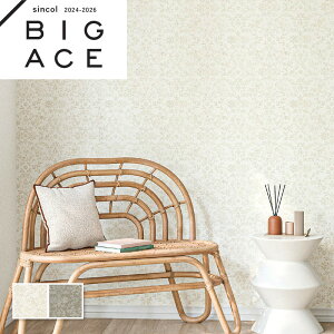  GKgǎ VR[ rbNG[X NX ̂Ȃ