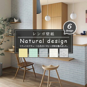 K ǎ ubN i`fUCLCnK   ANZgNX DIY ̂ȂIׂ lCV[Y