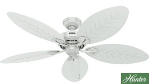 V[Ot@ n^[ xCr[ 50474 zCg 3Xs[h_CXCb`v[g