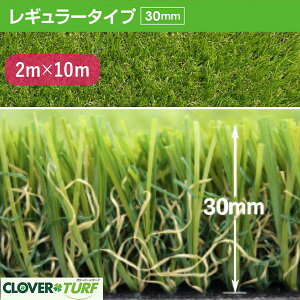 lH CTR30 Ŏ^Cv30mm 2m×10m h 1{ N[o[^[t M[^Cv  (@ll)