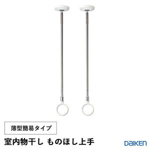 �_�C�P�� �匚�H�� DAIKEN ���[ ���������� ���̂ق���� �V�䒼�t���^�ȈՃ^�C�v �|�[���Z�b�g 2�{���� �z���C�g�F FQ0413-1 ��������