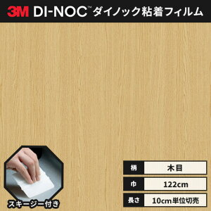 yz3M _CmbNV[g wiXL[W[jt JbeBOV[g SV[g CNV[g t@CEbh ؖ 122cm FW-1285  I[N