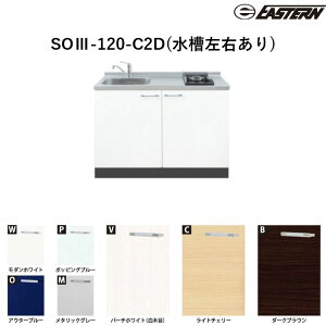 SOIII-120-C2D(�������E����) W1200*D600*H850(mm) �\�G��III(�c�^2�����M�@��Ή�) �x�[�X�L���r�l�b�g �C�[�X�^���H�� �������� ���M�@��ʓr ����ʓr