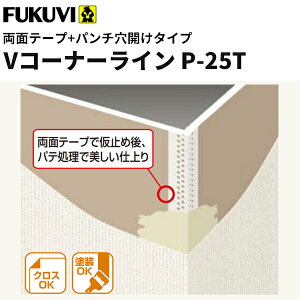 yztNr@R[i[nށ@NXnށ@VR[i[CSe[v{p`^CvP-25T@2.5m@100{@VP25T