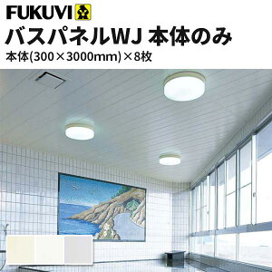 tNr VEǑ oXplWJ RہEUVhi300×3000mm) 8 J[3F@WJ3