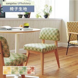 g D ֎qn ֎q萶n TQc ֎qnւ L-Pattern RpRp