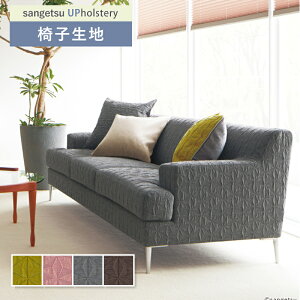 ̗t͗l ֎qn ֎q萶n TQc ֎qnւ F-Pattern 