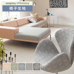 ֎qn ֎q萶n TQc ֎qnւ F-Pattern 